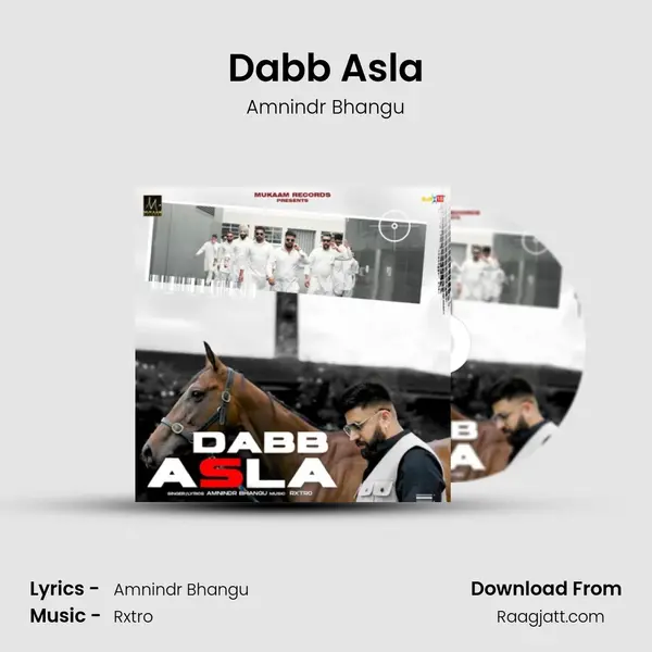 Dabb Asla - Amnindr Bhangu album cover 