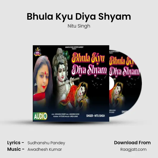 Bhula Kyu Diya Shyam - Nitu Singh album cover 