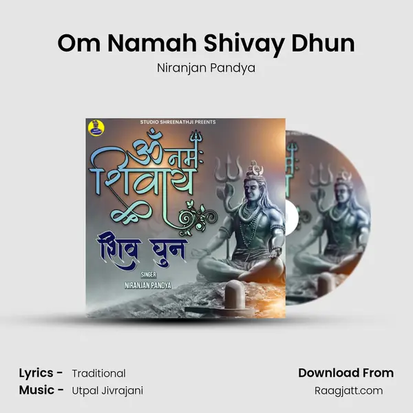 Om Namah Shivay Dhun - Niranjan Pandya album cover 