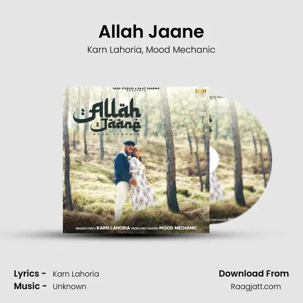 Allah Jaane - Karn Lahoria album cover 