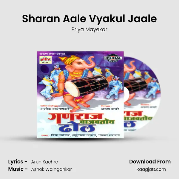 Sharan Aale Vyakul Jaale mp3 song