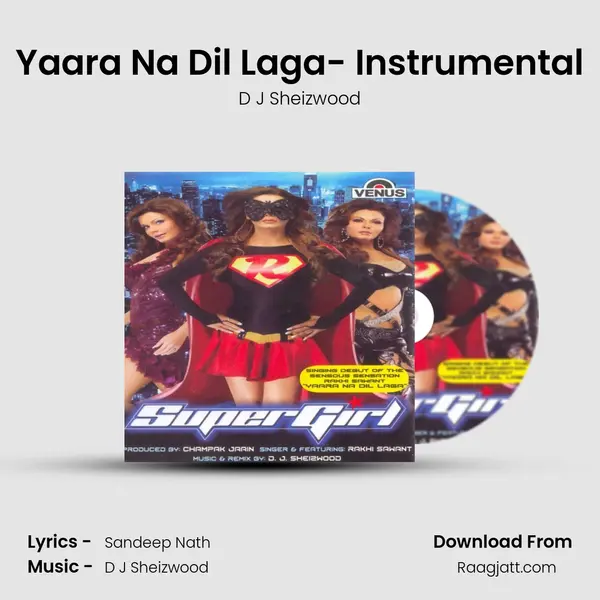 Yaara Na Dil Laga- Instrumental - D J Sheizwood album cover 