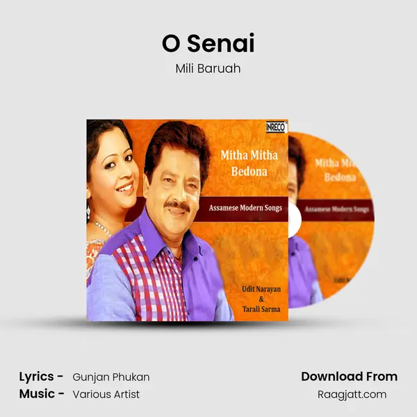 O Senai mp3 song