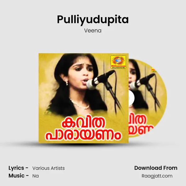 Pulliyudupita - Veena album cover 