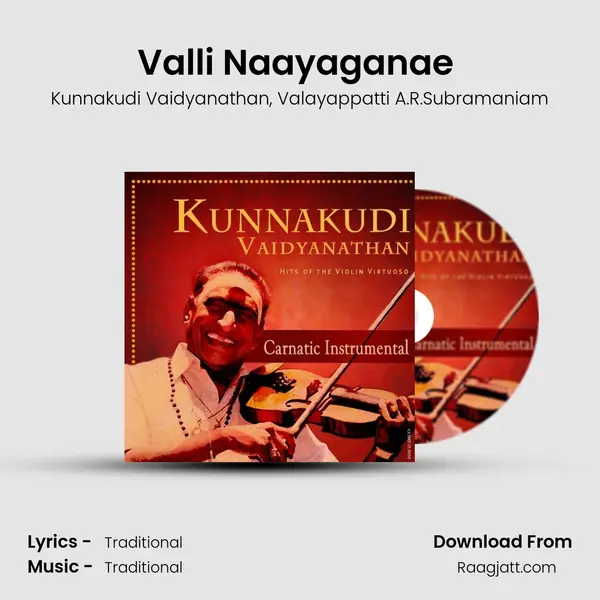 Valli Naayaganae (Violin & Thavil) mp3 song