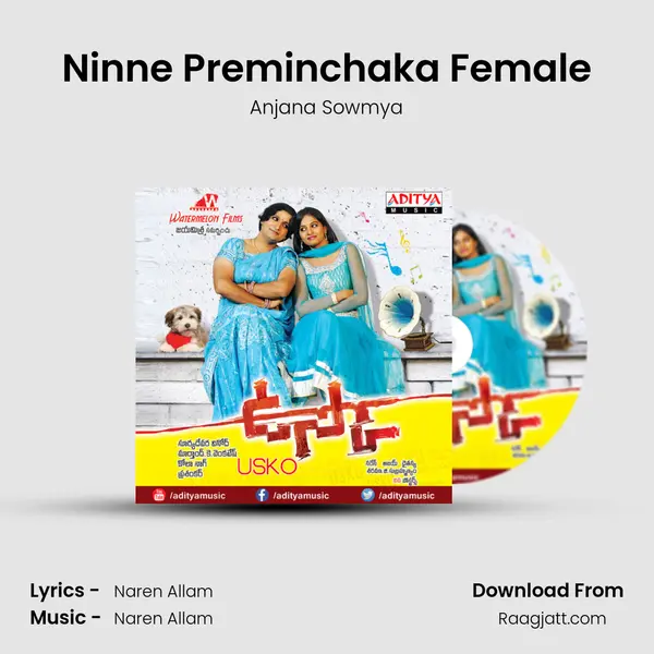 Ninne Preminchaka Female - Anjana Sowmya album cover 