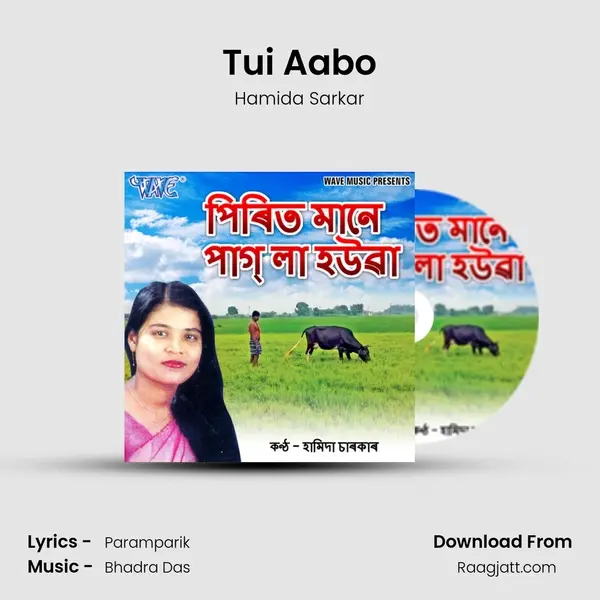 Tui Aabo - Hamida Sarkar album cover 