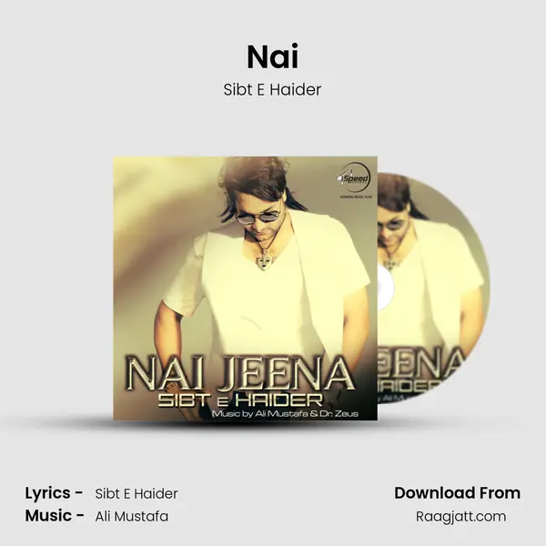 Nai - Sibt E Haider album cover 