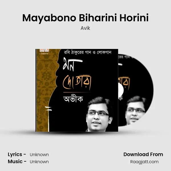 Mayabono Biharini Horini - Avik album cover 