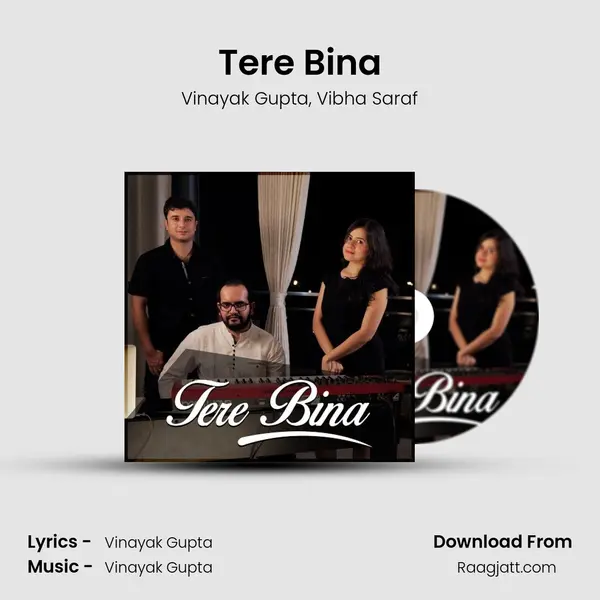 Tere Bina mp3 song