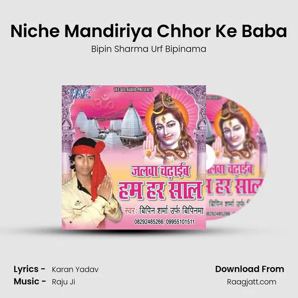 Niche Mandiriya Chhor Ke Baba - Bipin Sharma Urf Bipinama album cover 