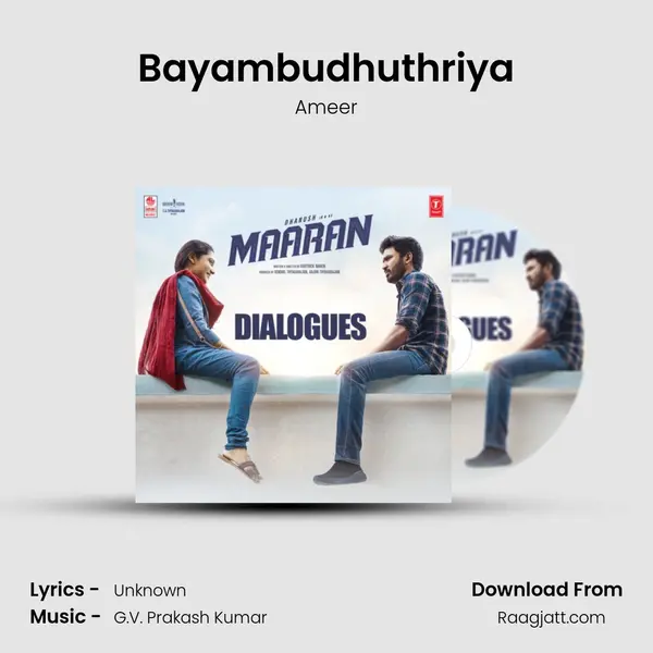 Bayambudhuthriya - Ameer album cover 