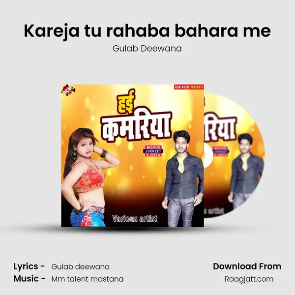 Kareja tu rahaba bahara me mp3 song