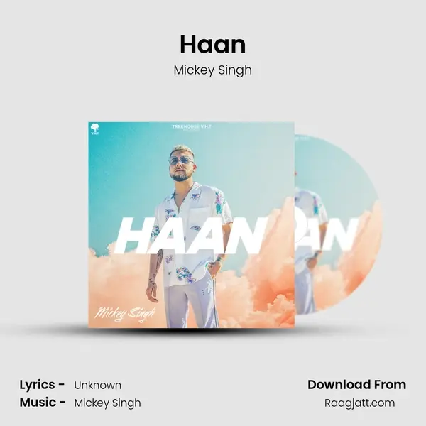 Haan - Mickey Singh album cover 