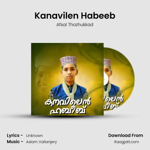 Kanavilen Habeeb - Afsal Thozhukkad album cover 