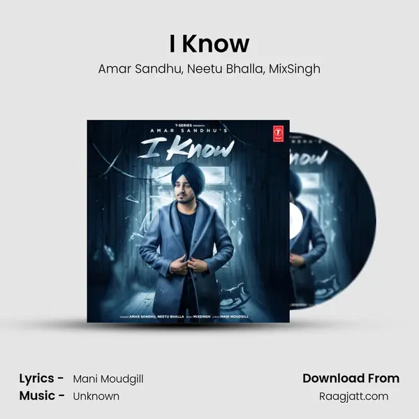 I Know - Amar Sandhu album cover 