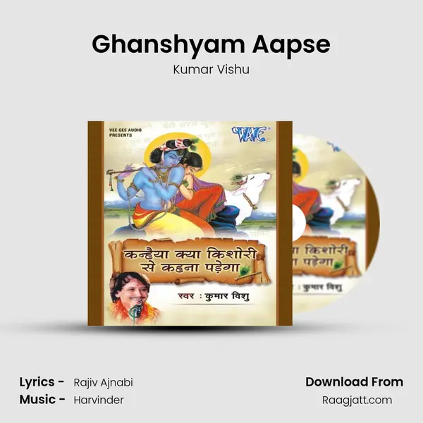 Ghanshyam Aapse - Kumar Vishu album cover 