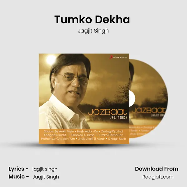 Tumko Dekha (Edited) - Jagjit Singh album cover 