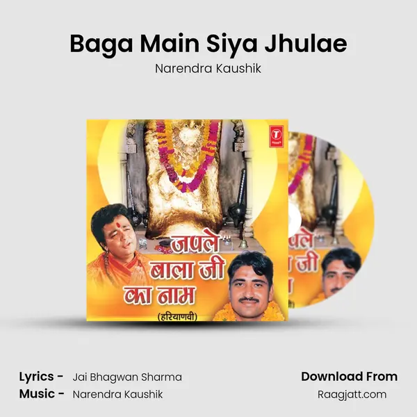 Baga Main Siya Jhulae - Narendra Kaushik album cover 