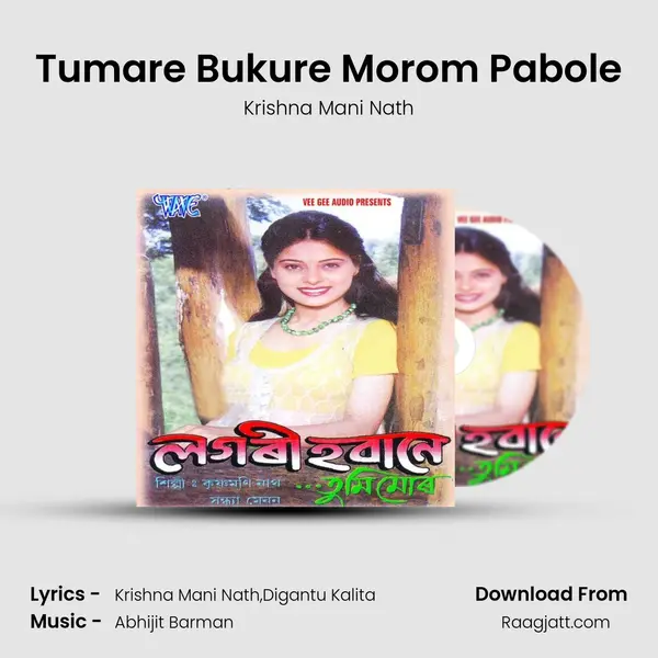 Tumare Bukure Morom Pabole - Krishna Mani Nath album cover 