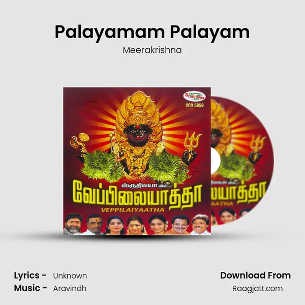 Palayamam Palayam - Meerakrishna album cover 