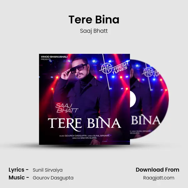 Tere Bina - Saaj Bhatt album cover 