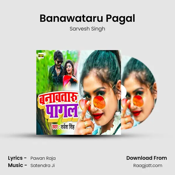 Banawataru Pagal - Sarvesh Singh album cover 