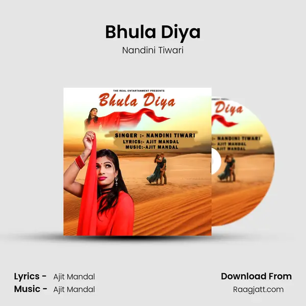 Bhula Diya - Nandini Tiwari album cover 