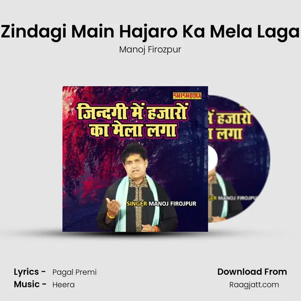 Zindagi Main Hajaro Ka Mela Laga mp3 song