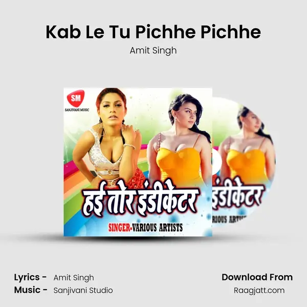 Kab Le Tu Pichhe Pichhe mp3 song