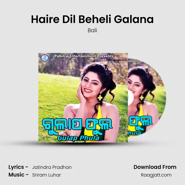 Haire Dil Beheli Galana - Bali album cover 