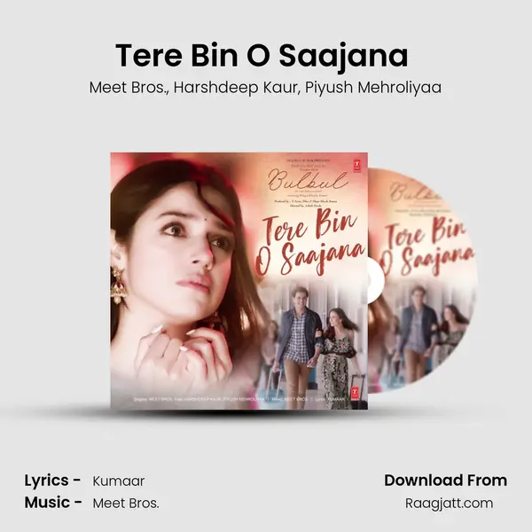 Tere Bin O Saajana (Harshdeep Kaur Version) - Meet Bros. album cover 