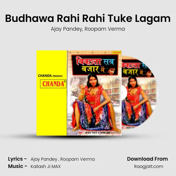 Budhawa Rahi Rahi Tuke Lagam - Ajay Pandey album cover 