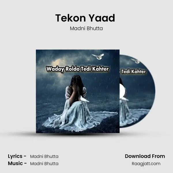 Tekon Yaad (Dohry Hi Dohry) - Madni Bhutta album cover 