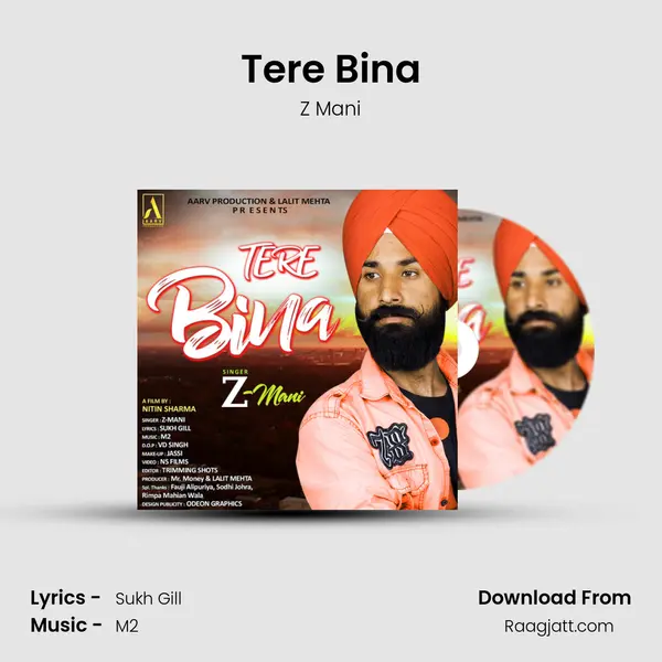 Tere Bina - Z Mani album cover 