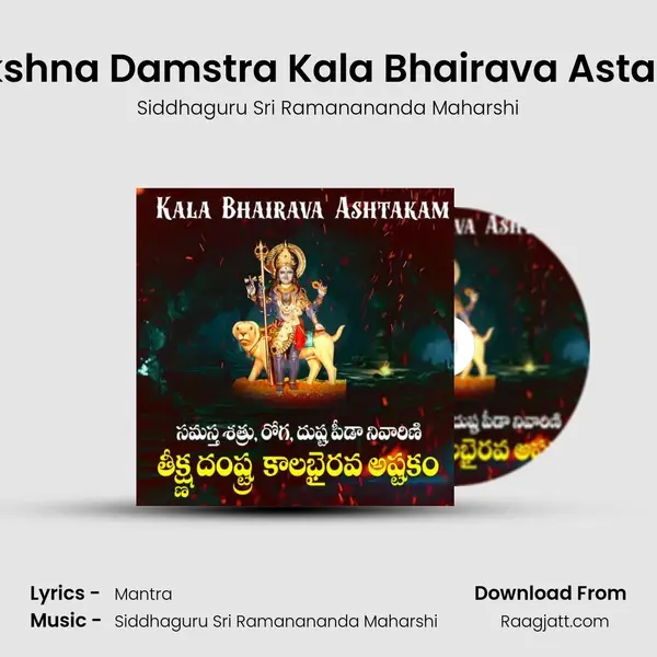 Teekshna Damstra Kala Bhairava Astakam - Siddhaguru Sri Ramanananda Maharshi album cover 