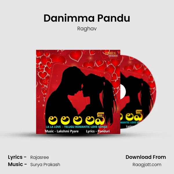 Danimma Pandu - Raghav album cover 