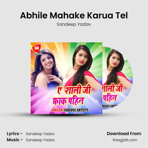 Abhile Mahake Karua Tel - Sandeep Yadav album cover 