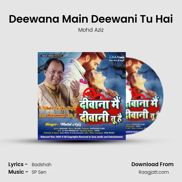 Deewana Main Deewani Tu Hai - Mohd Aziz album cover 