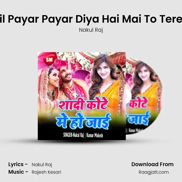 Dil Dil Payar Payar Diya Hai Mai To Tere Liye mp3 song