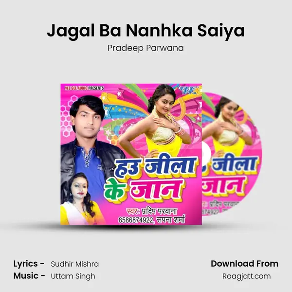 Jagal Ba Nanhka Saiya - Pradeep Parwana album cover 