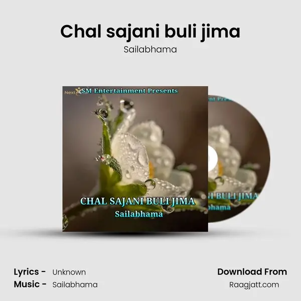 Chal sajani buli jima - Sailabhama mp3 song