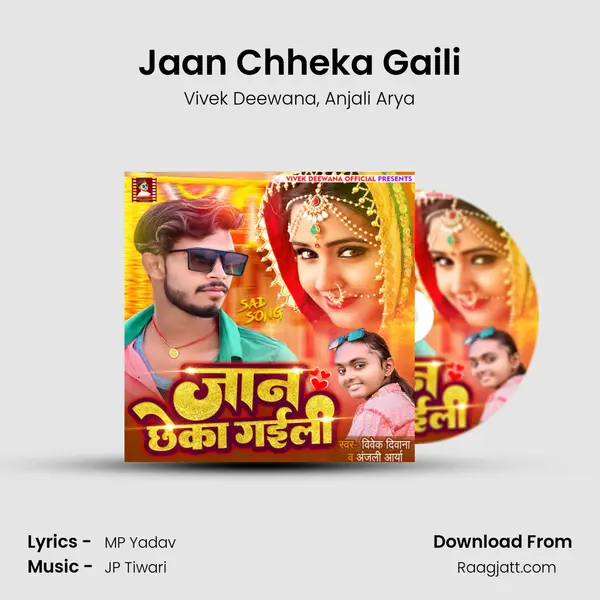 Jaan Chheka Gaili - Vivek Deewana album cover 