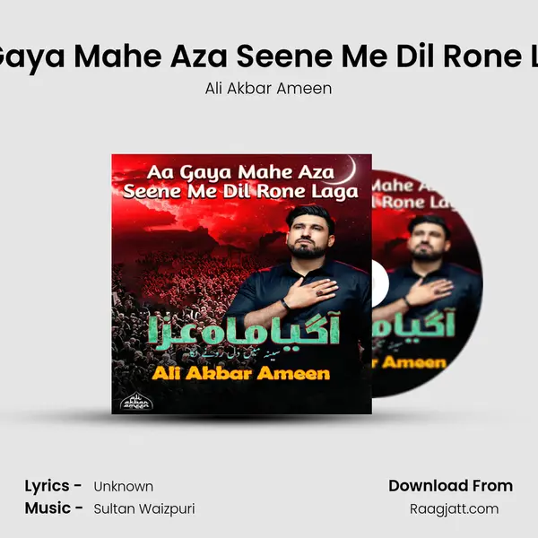 Aa Gaya Mahe Aza Seene Me Dil Rone Laga - Ali Akbar Ameen album cover 