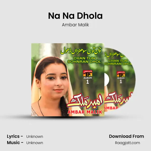 Na Na Dhola - Ambar Malik album cover 