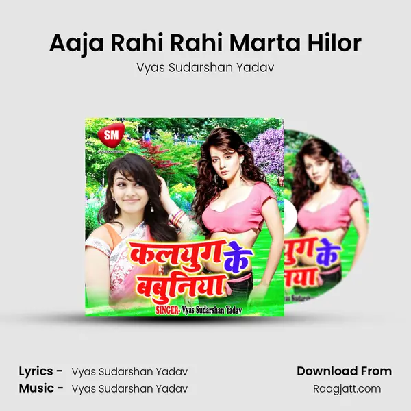 Aaja Rahi Rahi Marta Hilor - Vyas Sudarshan Yadav album cover 