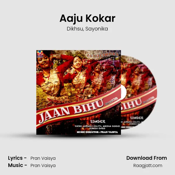 Aaju Kokar - Dikhsu album cover 