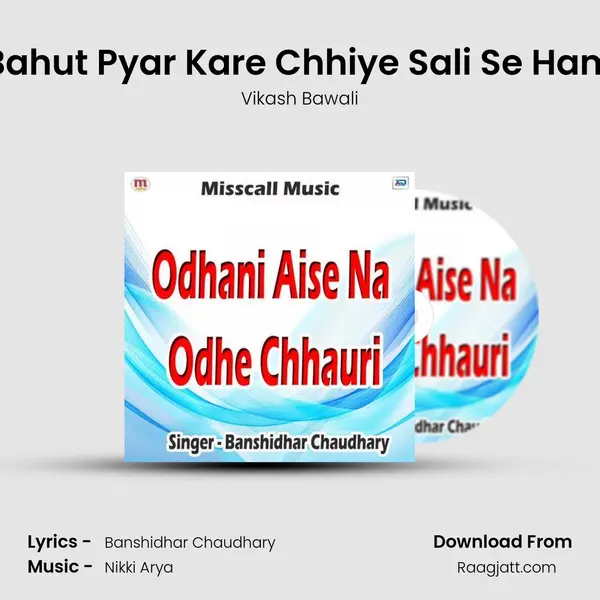 Bahut Pyar Kare Chhiye Sali Se Ham - Vikash Bawali album cover 