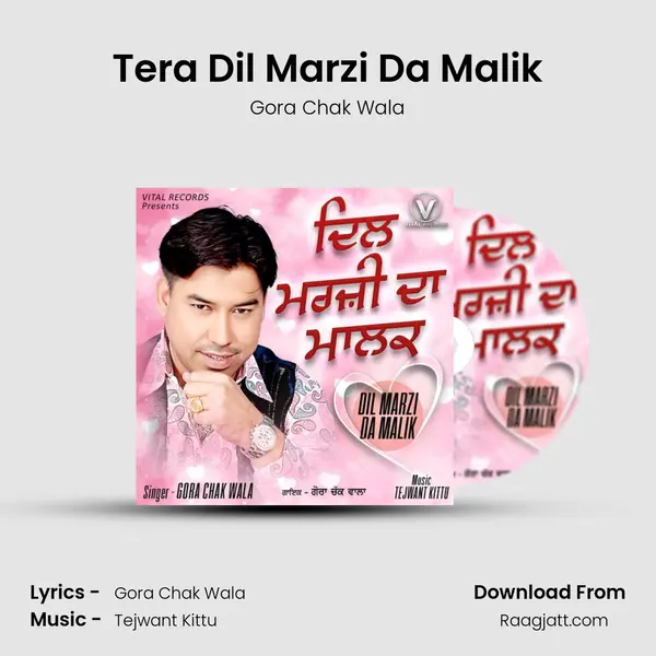 Tera Dil Marzi Da Malik mp3 song