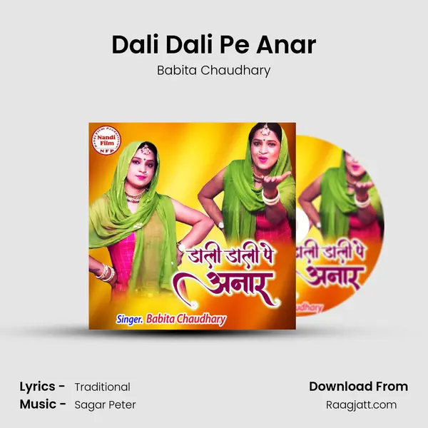 Dali Dali Pe Anar - Babita Chaudhary album cover 